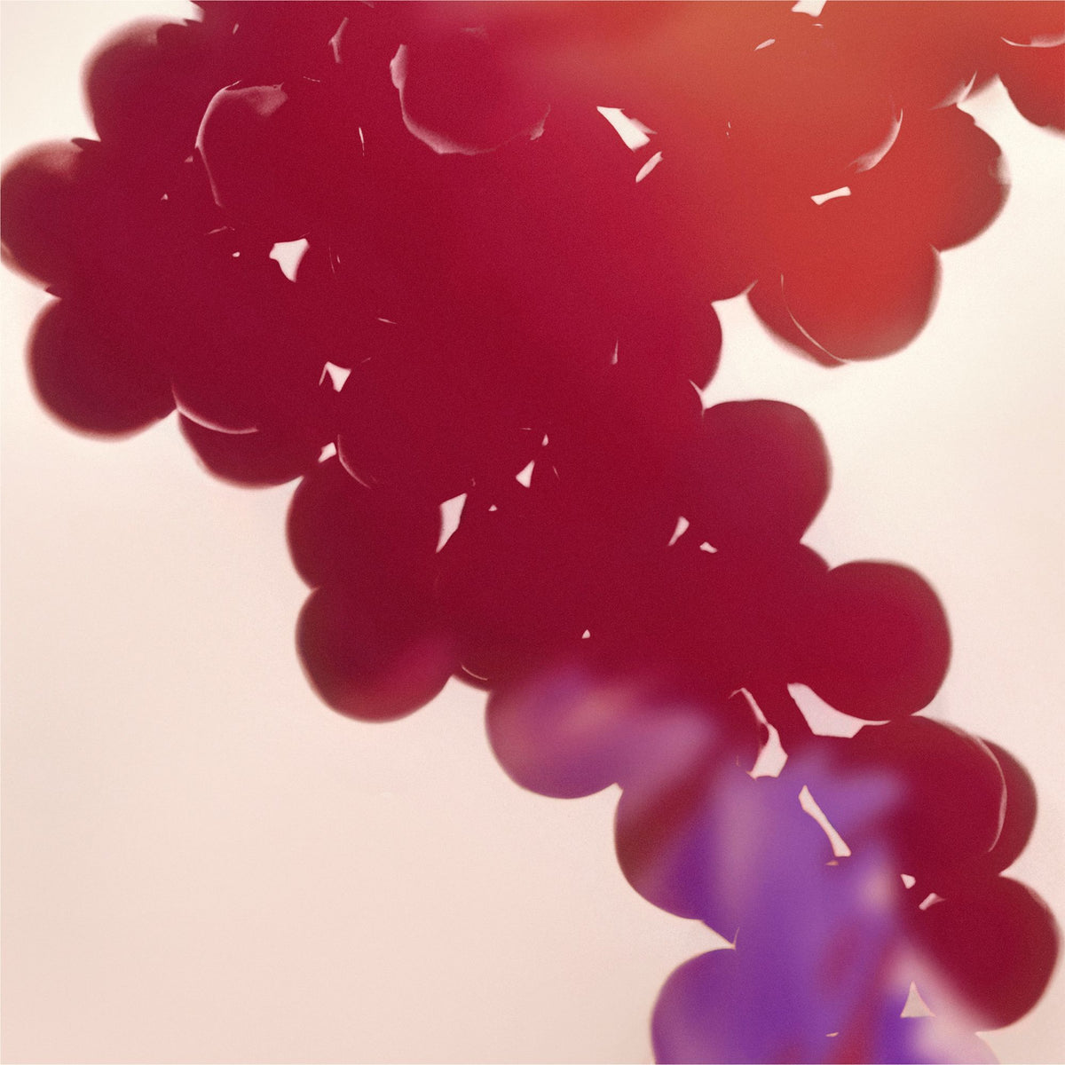 En intens årgang | Årgang 2010 er sammensat af 59 procent Pinot Noir og 41 procent Chardonnay. Smagen bevæger sig gennem hindbær, jordbær, kirsebær og modne figner, mens en præcis friskhed holder champagnen levende. Resultatet er en generøs rosé med både fylde og finesse, skabt til særlige serveringer og til videre udvikling under de rette forhold.
